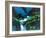 Creek-Thomas Leung-Framed Giclee Print