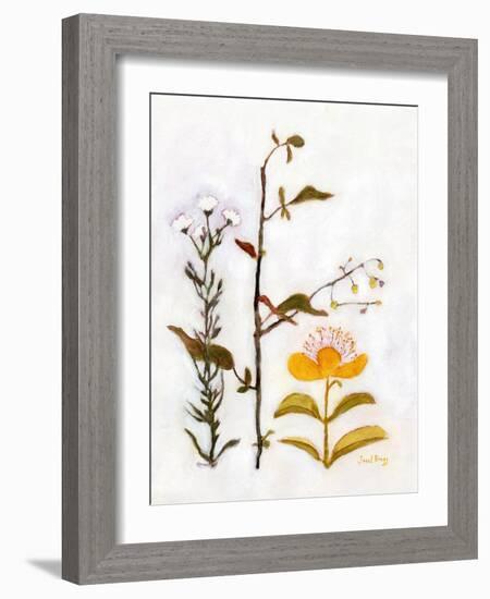 Creeping St. John's Wort with Wildflowers, C.2018 (Watercolor and Casein on Paper)-Janel Bragg-Framed Giclee Print