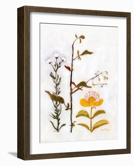 Creeping St. John's Wort with Wildflowers, C.2018 (Watercolor and Casein on Paper)-Janel Bragg-Framed Giclee Print