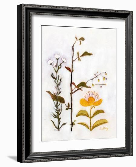 Creeping St. John's Wort with Wildflowers, C.2018 (Watercolor and Casein on Paper)-Janel Bragg-Framed Giclee Print