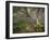 Creepy Fairytale Tree Spooky Forest Fog Appalachian Nc Fantasy Landscape-daveallenphoto-Framed Photographic Print