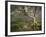 Creepy Fairytale Tree Spooky Forest Fog Appalachian Nc Fantasy Landscape-daveallenphoto-Framed Photographic Print