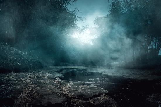 Photographic Print, , large