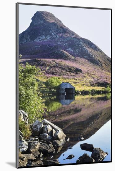 Cregannen Lake, Dolgellau, Gwynedd, North Wales, United Kingdom, Europe-Janette Hill-Mounted Photographic Print