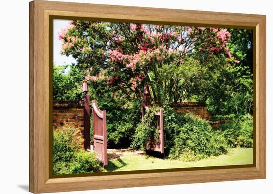 Crepe Myrtle I-Alan Hausenflock-Framed Premier Image Canvas