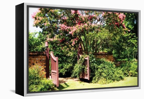 Crepe Myrtle I-Alan Hausenflock-Framed Premier Image Canvas