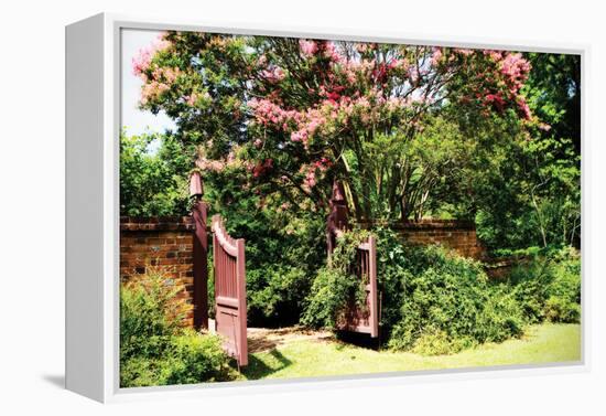 Crepe Myrtle I-Alan Hausenflock-Framed Premier Image Canvas