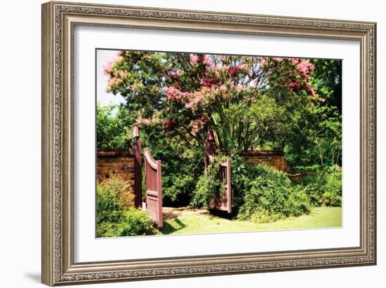 Crepe Myrtle I-Alan Hausenflock-Framed Photographic Print