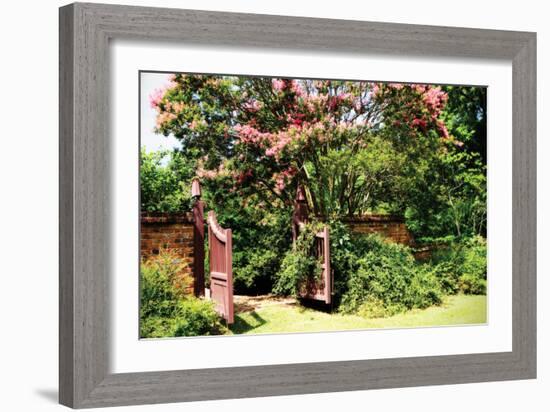 Crepe Myrtle I-Alan Hausenflock-Framed Photographic Print