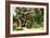 Crepe Myrtle I-Alan Hausenflock-Framed Photographic Print