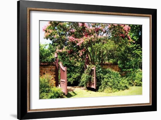 Crepe Myrtle I-Alan Hausenflock-Framed Photographic Print