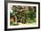 Crepe Myrtle I-Alan Hausenflock-Framed Photographic Print