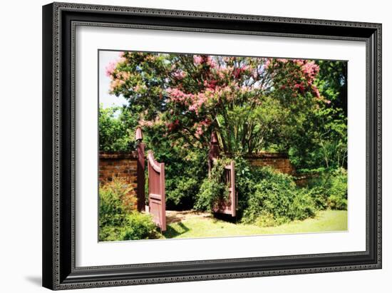 Crepe Myrtle I-Alan Hausenflock-Framed Photographic Print