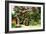 Crepe Myrtle I-Alan Hausenflock-Framed Photographic Print