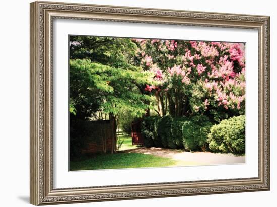 Crepe Myrtle II-Alan Hausenflock-Framed Photographic Print