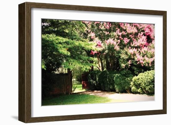 Crepe Myrtle II-Alan Hausenflock-Framed Photographic Print