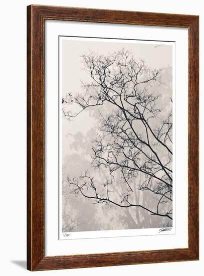 Crepe Myrtle-Donald Satterlee-Framed Giclee Print