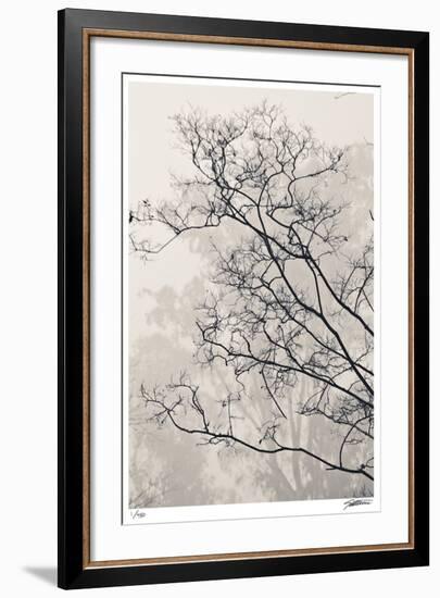 Crepe Myrtle-Donald Satterlee-Framed Giclee Print