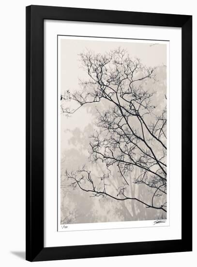 Crepe Myrtle-Donald Satterlee-Framed Giclee Print