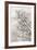 Crepe Myrtle-Donald Satterlee-Framed Giclee Print