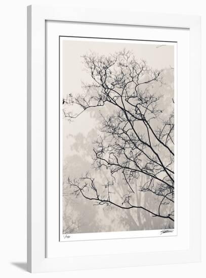 Crepe Myrtle-Donald Satterlee-Framed Giclee Print