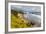 Crescent Beach at Ecola State Park in Cannon Beach, Oregon, USA-Chuck Haney-Framed Photographic Print