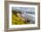 Crescent Beach at Ecola State Park in Cannon Beach, Oregon, USA-Chuck Haney-Framed Photographic Print