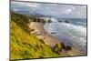 Crescent Beach at Ecola State Park in Cannon Beach, Oregon, USA-Chuck Haney-Mounted Photographic Print