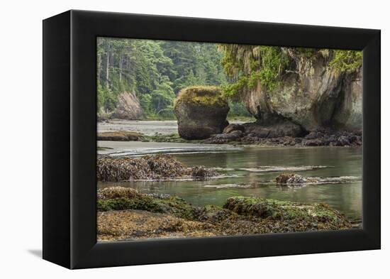 Crescent Beach Bay and Island, Low Tide, Olympic Peninsula, Washington-Michael Qualls-Framed Premier Image Canvas