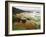 Crescent Beach from Ecola State Park, Oregon, USA-Michel Hersen-Framed Photographic Print