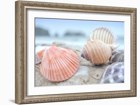 Crescent Beach Shells 10-Alan Blaustein-Framed Photographic Print