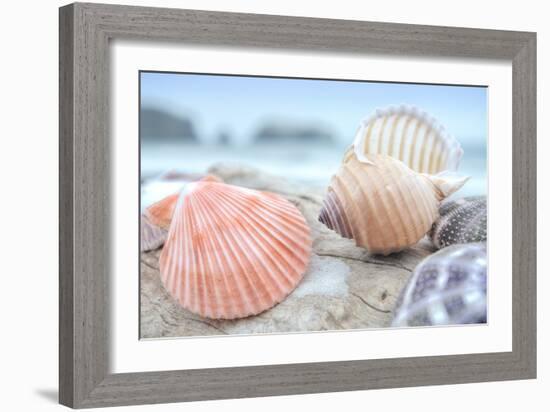 Crescent Beach Shells 10-Alan Blaustein-Framed Photographic Print