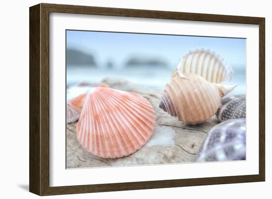 Crescent Beach Shells 10-Alan Blaustein-Framed Photographic Print