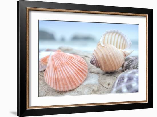 Crescent Beach Shells 10-Alan Blaustein-Framed Photographic Print