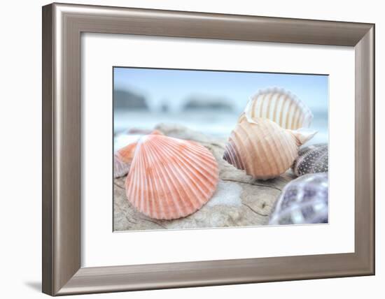 Crescent Beach Shells 10-Alan Blaustein-Framed Photographic Print