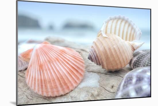 Crescent Beach Shells 10-Alan Blaustein-Mounted Photographic Print