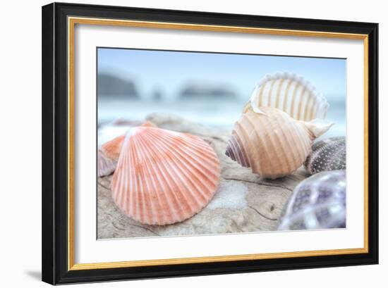 Crescent Beach Shells 10-Alan Blaustein-Framed Photographic Print