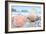 Crescent Beach Shells 10-Alan Blaustein-Framed Photographic Print