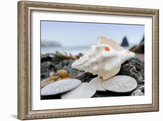 Crescent Beach Shells 11-Alan Blaustein-Framed Photographic Print