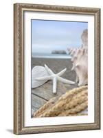 Crescent Beach Shells 12-Alan Blaustein-Framed Photographic Print
