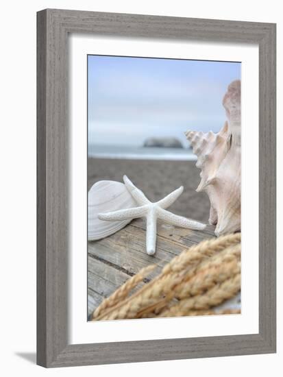 Crescent Beach Shells 12-Alan Blaustein-Framed Photographic Print