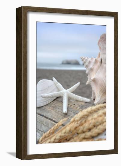 Crescent Beach Shells 12-Alan Blaustein-Framed Photographic Print