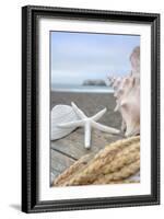 Crescent Beach Shells 12-Alan Blaustein-Framed Photographic Print