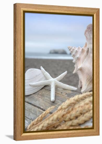 Crescent Beach Shells 12-Alan Blaustein-Framed Premier Image Canvas