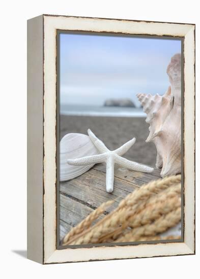 Crescent Beach Shells 12-Alan Blaustein-Framed Premier Image Canvas