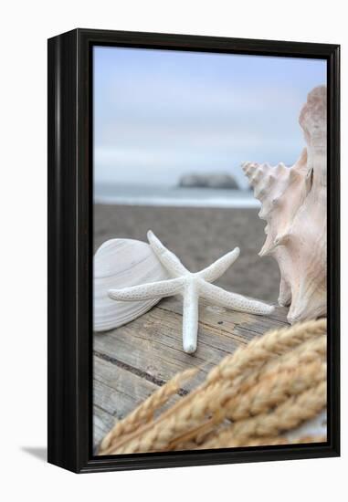 Crescent Beach Shells 12-Alan Blaustein-Framed Premier Image Canvas