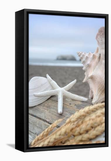 Crescent Beach Shells 12-Alan Blaustein-Framed Premier Image Canvas