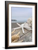 Crescent Beach Shells 13-Alan Blaustein-Framed Photographic Print