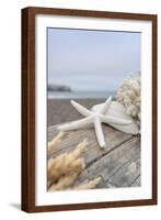 Crescent Beach Shells 13-Alan Blaustein-Framed Photographic Print