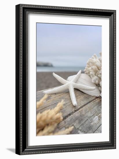 Crescent Beach Shells 13-Alan Blaustein-Framed Photographic Print